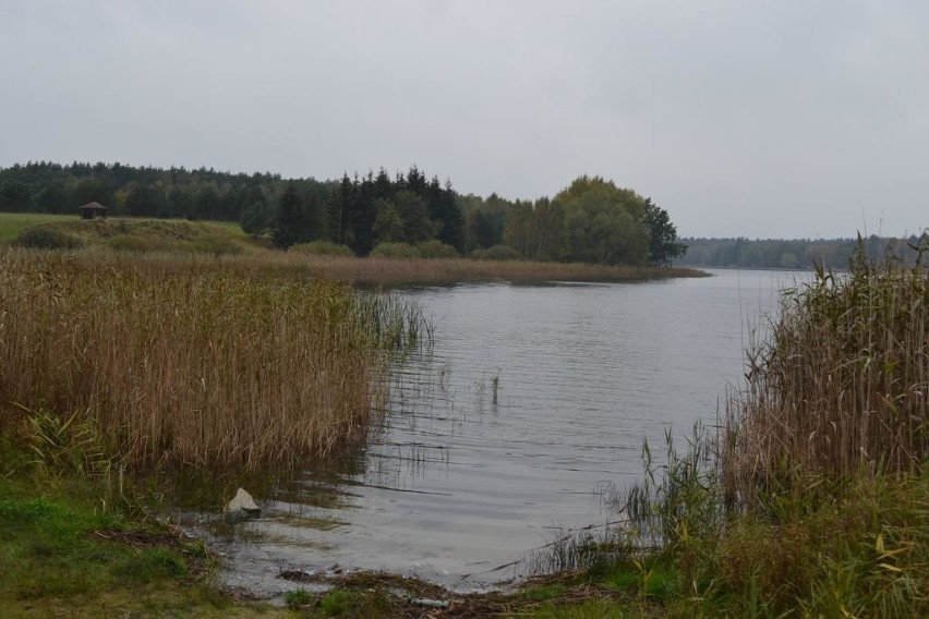 Nowa atrakcja turystyczna powstaje w Binowie [zdjęcia]