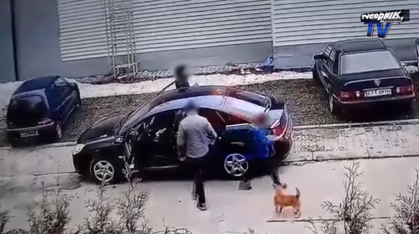 Zostawili psa na ulicy w Zakopanem. Policja zna numery rejestracyjne ich auta