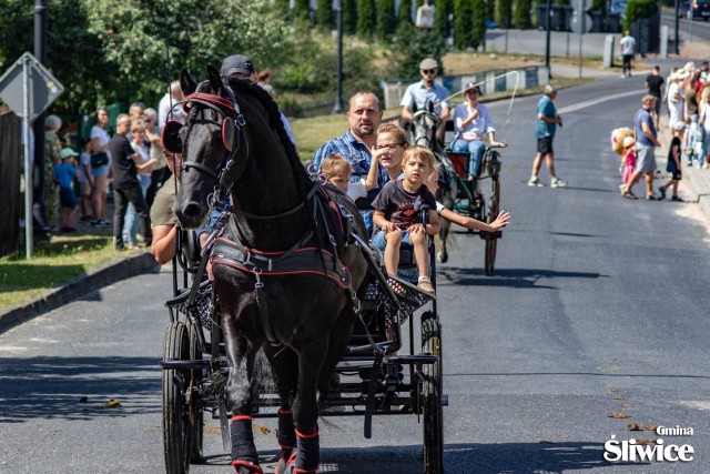 Piknik Koniarza w Śliwicach tym razem zorganizowano pod hasłem „Koń w rolnictwie”. Zawodnicy rywalizowali w trzech konkurencjach: powożenie bryczką, konne zawody w siodle oraz pokaz orki.