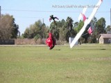 Mulberry, Floryda, USA. Samolot zderzył się ze spadochroniarzem. Awionetka runęła na ziemię (wideo)