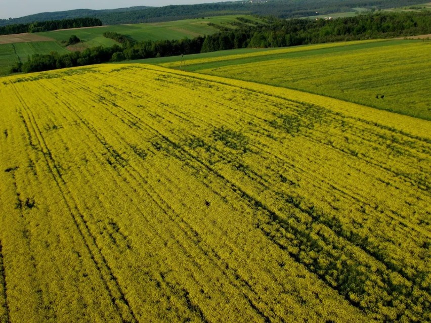 Jura Krakowsko-Częstochowska z lotu ptaka [ZDJĘCIA]