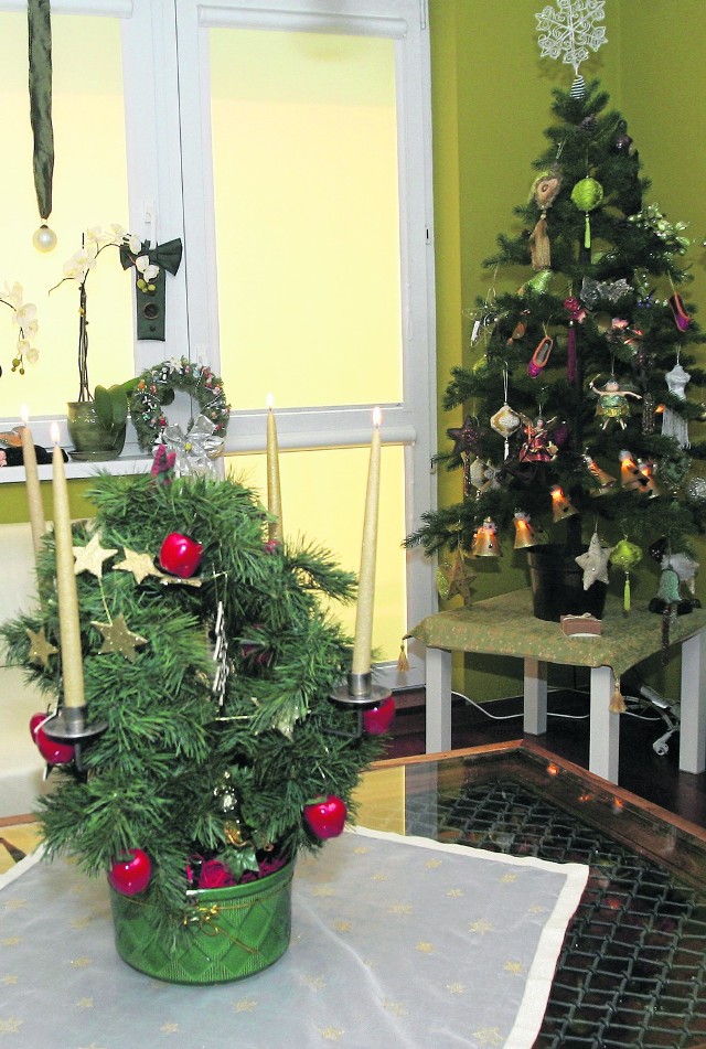 Świąteczne drzewka dostarczane są klientom nie tylko w Polsce