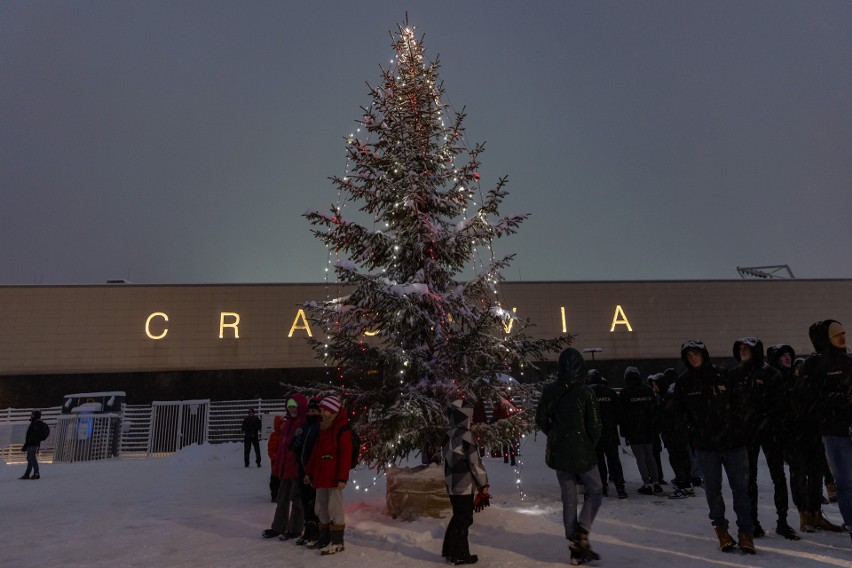 Cracovia ma już Święta. Przed stadionem przy ulicy Kałuży rozbłysła choinka. Zdjęcia