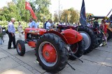 Częstochowa: Krajowa Wystawa Rolnicza w alei NMP ZDJĘCIA Tysiące zwiedzających, tłok taki, że aż trudno przejść