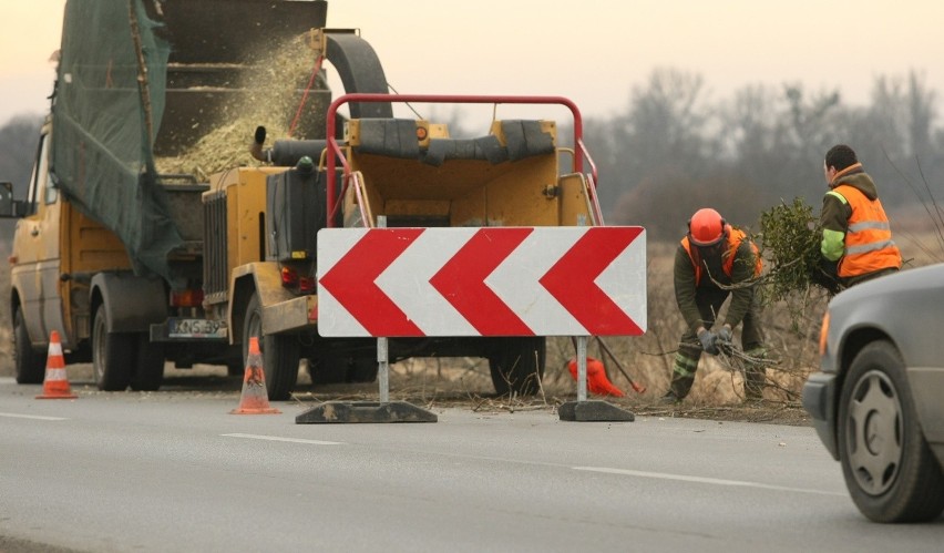 Na drodze z Wrocławia do Obornik Śląskich wycinają wszystkie drzewa. Dlaczego?