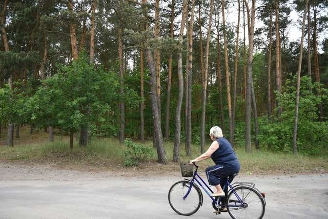 Leśnicy apelują o zachowanie szczególnej ostrożności w lesie