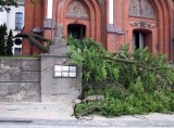 Wichura złamała drzewo przy Farze. Konar zniszczył pomnik. (wideo, zdjęcia)