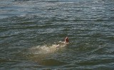 21-latek utopił sie w jeziorze Dobre. Próbował wpław dopłynąć do wysepki