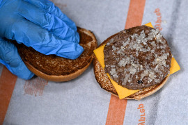 Rosja: Pleśń i smażone kawałki owadów w lokalach, które zajęły miejsce McDonald's