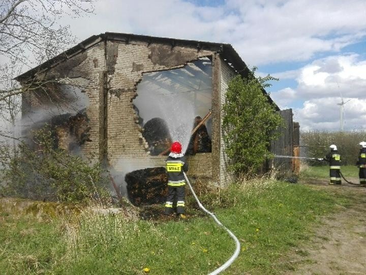 Płonącą stodołę gasiło aż siedem zastępów strażaków.
