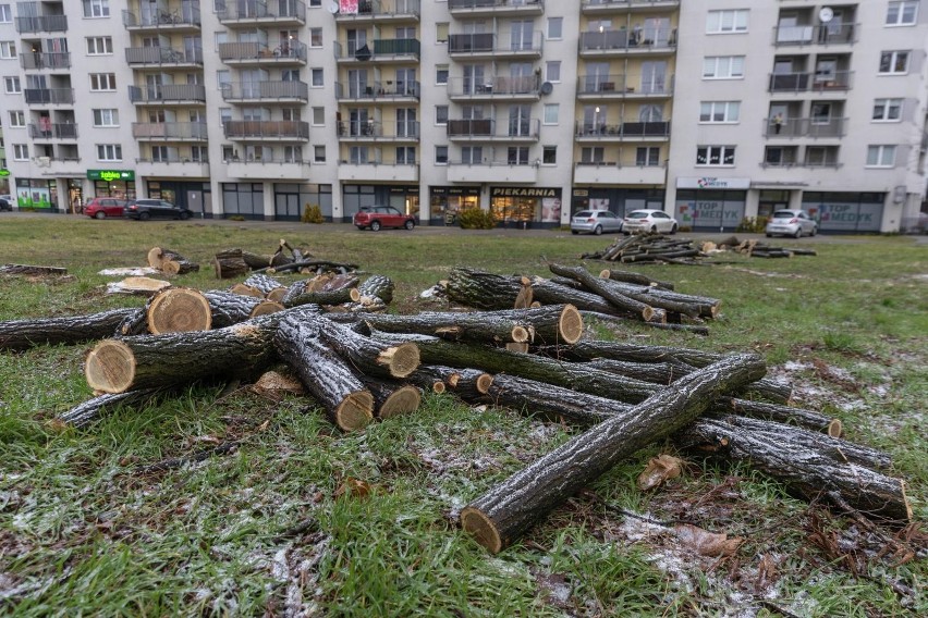 Kraków. Mieszkańcy Nowego Prokocimia czują się oszukani przez dewelopera. Miał być mały park, będzie duży blok [ZDJĘCIA]