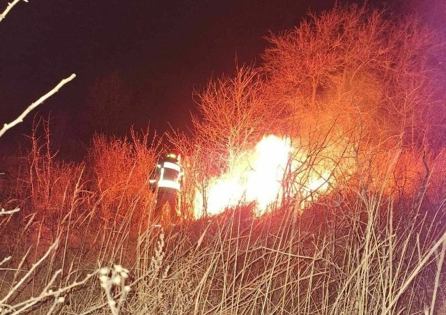 Od początku roku  regionie świętokrzyskim doszło już do ponad 70 pożarów traw. W marcu strażacy interweniowali przy pożarze traw w miejscowości Podszkodzie w powiecie ostrowieckim.