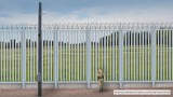 Rusza budowa zapory na granicy. Aktywiści boją się o zwierzęta i rośliny Puszczy Białowieskiej