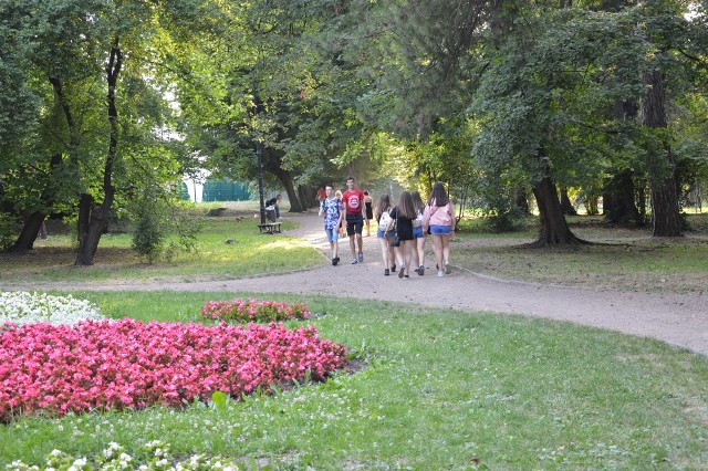 Wielicki Park Mickiewicza – o powierzchni 7,11 ha, założony w 1835  - to jedna z najstarszych miejskich enklaw zieleni w Polsce. Gotowy jest projekt kompleksowej rewitalizacji parku. Według wyliczeń na prace te potrzeba 6 mln zł