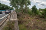 Rusza budowa dwóch mostów w Bydgoszczy. Trwa wycinka drzew