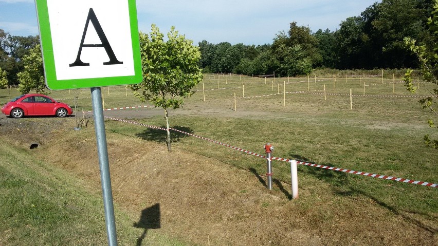 Parkingi wyznaczone, pole namiotowe czeka. Miasto gotowe na Linkin Park