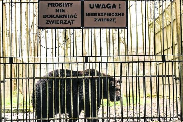 Zdaniem fundacji, niedźwiedzie cierpią na choroby psychiczne, a inne zwierzęta mają mało miejsca