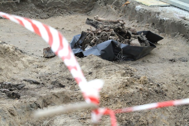 Na budowie pod Wrocławiem odkryto kości, prawdopodobnie są to ludzkie szczątki. Zdjęcie ilustracyjne