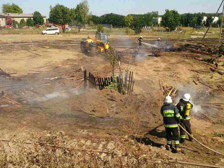 Pożar tartaku w Nowych Polaszkach [ZDJĘCIA]