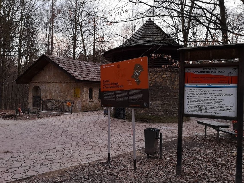 Tarnowskie Góry: pawilon dla turystów powstaje na szlaku UNESCO [ZDJĘCIA]