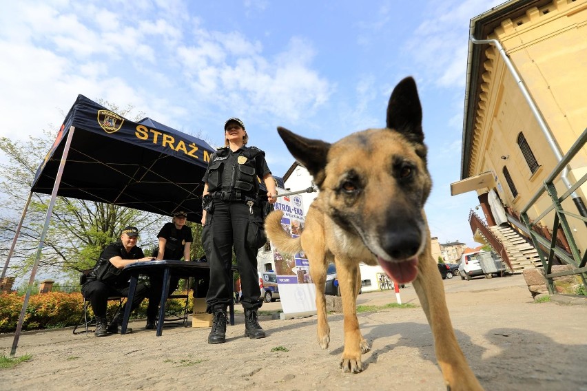 9. Straż Miejska i policja. Zbyt mała liczba patroli na...