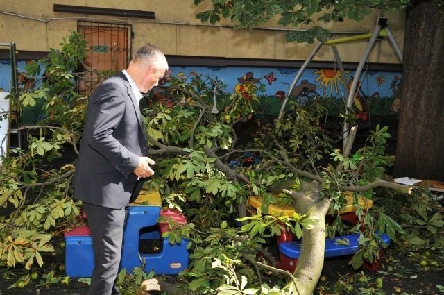 Wypadek na placu zabaw Przedszkola Miejskiego nr 1 w Toruniu. Konar spadł na bawiące się tam dzieci