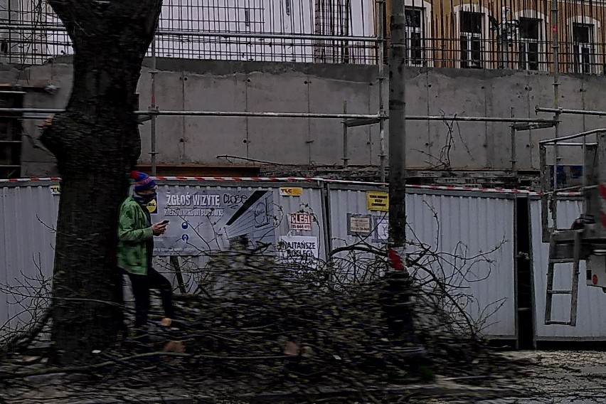 „O godz. 8 rano obudziło mnie wycie piły, pobiegłem do okna...