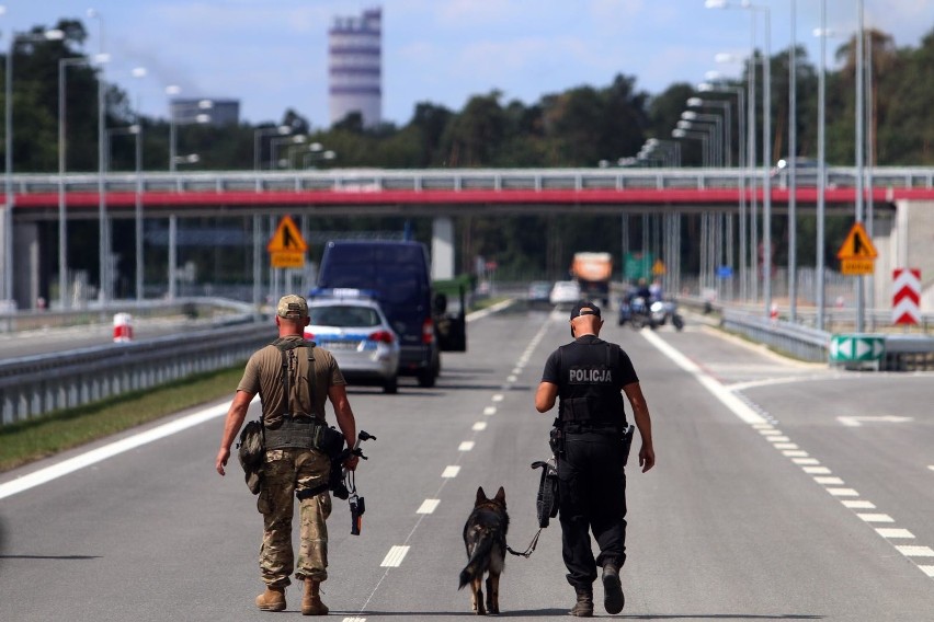 Światowy dzień psa. Sprawdzamy, jak wygląda służba psów w policji