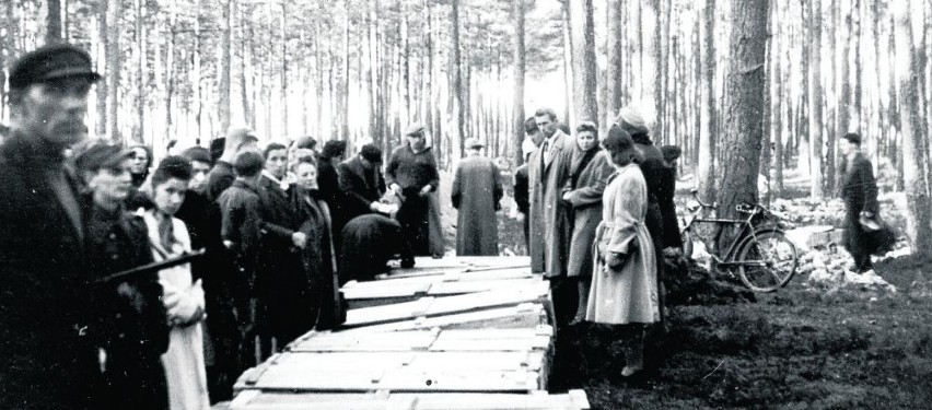 Ekshumacja w Lesie Piaśnickim, 1946 rok. Podczas ekshumacji...