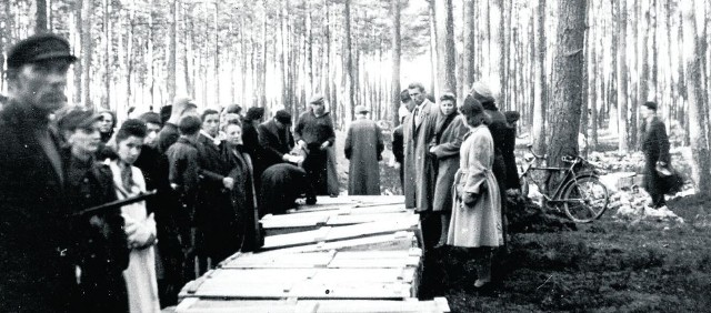 Ekshumacja w Lesie Piaśnickim, 1946 rok. Podczas ekshumacji ustalono, że w grobie matka trzymała Janka za rękę. Zakopano ich więc, gdy jeszcze żyli