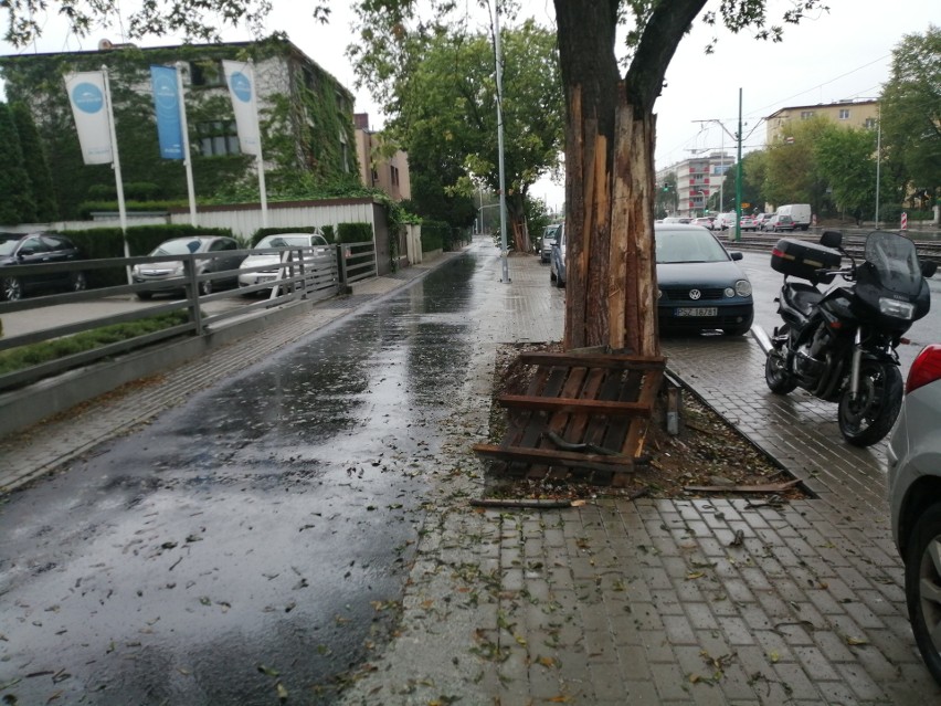 Droga rowerowa na ul. Grunwaldzkiej ma docelowo połączyć...