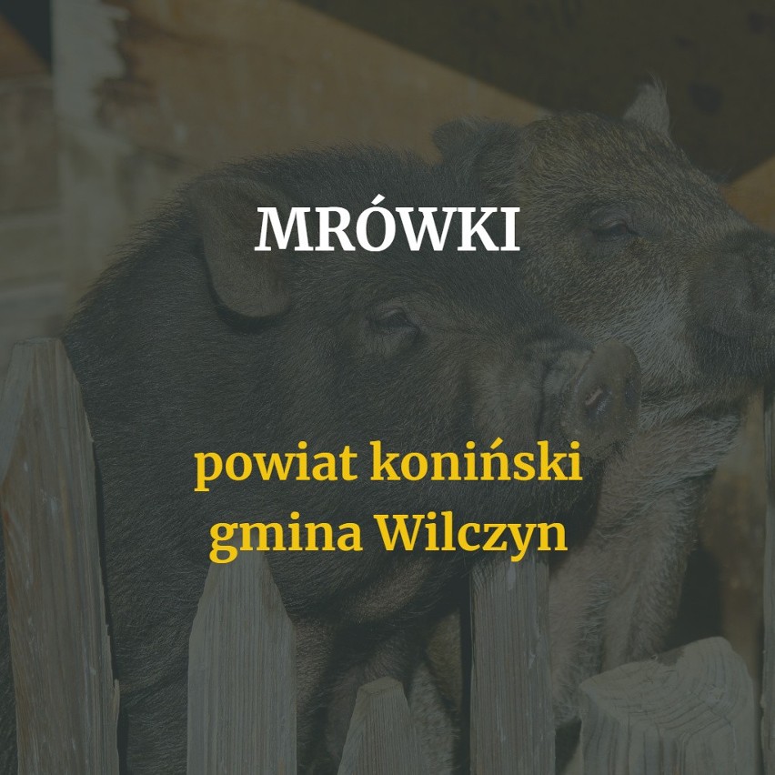 Podróżując po Wielkopolsce, można odwiedzić naprawdę...