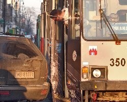 Taki obrazek, szczególnie na Gdańskiej, nie należy do rzadkości