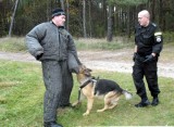 Tresura psa. Policjanci ćwiczyli z czworonogami. (wideo, zdjęcia)