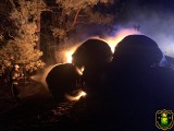 Orzołek. Pożar balotów siana i lasu. Cztery jednostki straży gasiły pożar. 15.10.2021. Zdjęcia
