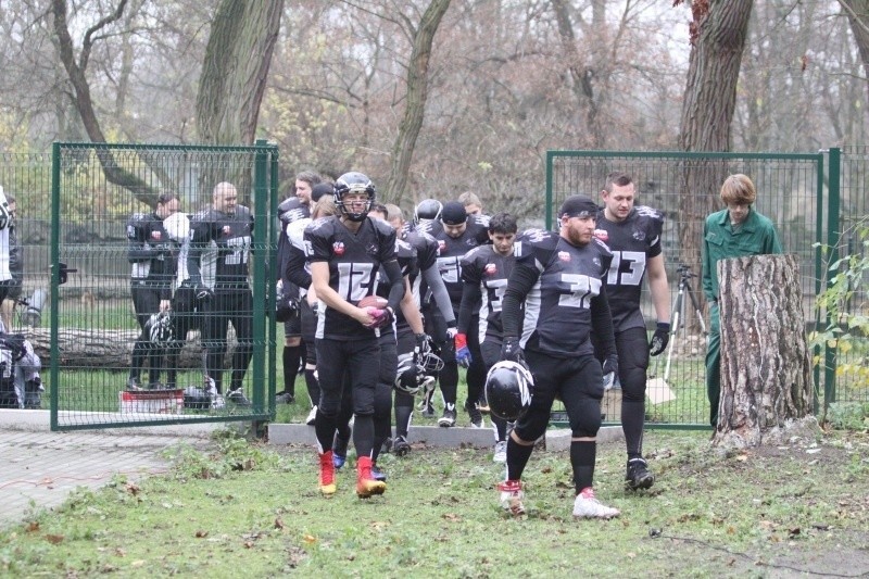 Wilki w zoo. Futboliści amerykańscy biegali po wybiegu tapirów