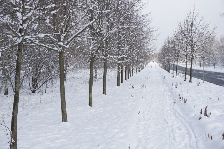 Instytut Meteorologii i Gospodarki Wodnej w Warszawie...