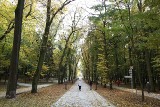 Busko w czerwonej strefie - przerażająca pustka. Zobaczcie jak w sobotę wyglądało życie miasta [WIDEO, ZDJĘCIA]