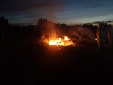 Akcja gaśnicza w Smołdzińskim Lesie. Spłonęła sucha trawa