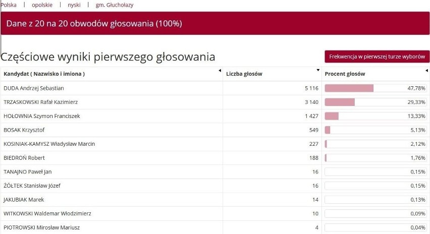 Wyniki wyborów 2020 Nysa. Jak głosowali mieszkańcy powiatu nyskiego w pierwszej turze wyborów prezydenckich?