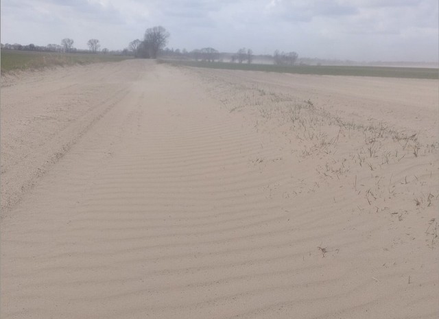 Od wielu tygodni w wielu miejscowościach powiatu gnieźnieńskiego nie spadła kropla deszczu. Zobacz zdjęcia -->