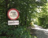 Nadal nie ma porozumienia w sprawie udostępnienia drogi do Mostu Stacha w Znamirowicach
