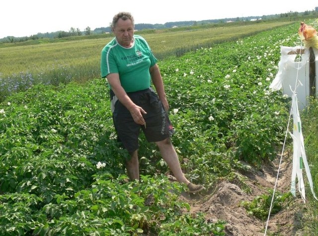 W niedzielę przyjechałem, a przód zryty &#8211; pokazuje Marian Zioło. &#8211; Szkoda naszej pracy, bo uprawy trzeba było spryskać na stonkę i na zarazę.