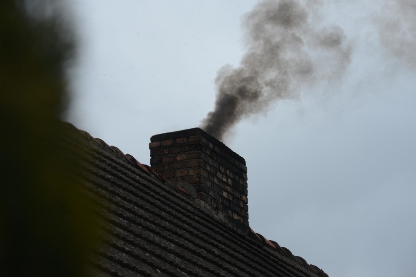 Mieszkańcy mają już dość smogu. W części powstaje przez...