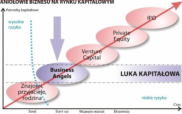 Finansowanie najczęściej odbywa się poprzez objęcie udziałów (bądź akcji) nowej emisji przez anioła biznesu. (fot. redakcja)