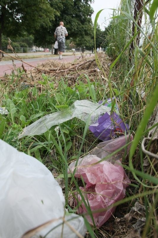 Śmieci, które wciąż zalegają wzdłuż chodnika przy ulicy Bohaterów Warszawy w Kielcach, denerwują kielczan.