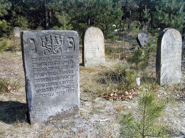 Ulanowski kirkut jest w fatalnym stanie. Sto pięćdziesiąt zabytkowych macew niszczeje: kruszy się kamień, w którym zostały wykute, dawno zawalił się stary płot okalający żydowską nekropolię.