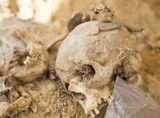 Odkopano szkielety kobiet oraz dzieci (zdjęcia, wideo)