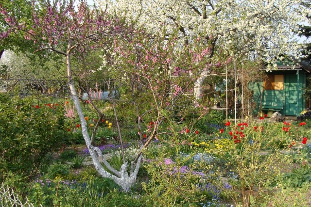 Kwiecień to prawdziwy wybuch wiosny w ogrodzie, a dla ogrodników - czas wytężonej pracy.