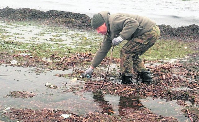 Sprzątanie rezerwatu Mewia Łacha w powiecie nowodworskim